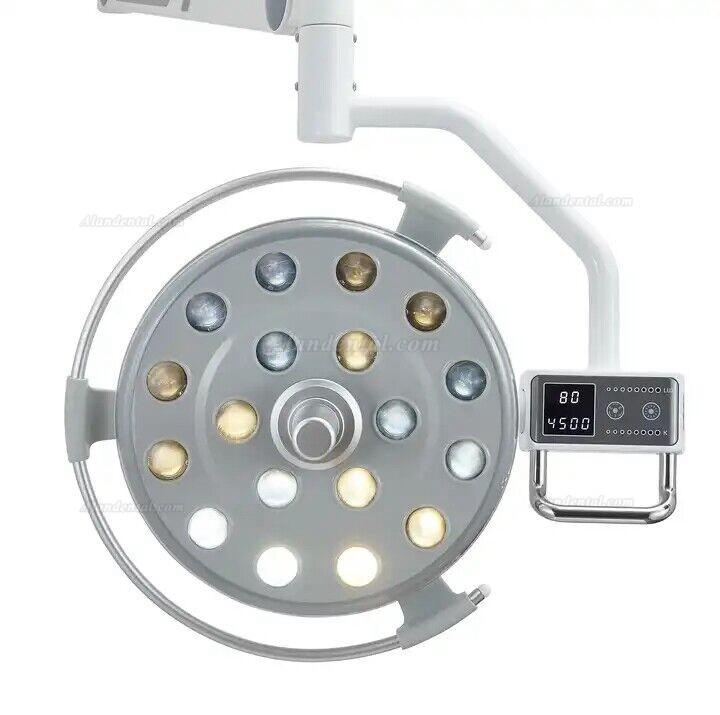 Saab P133 Ceiling-Mounted Dental LED Surgical Shadowless Light 18 Leds with Sensor Switch